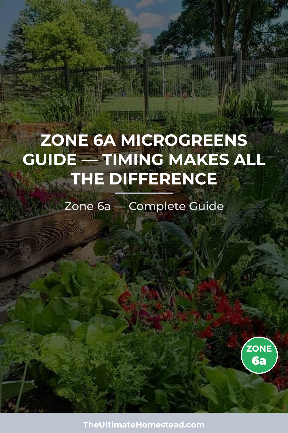 When to Plant Microgreens in Zone 6a