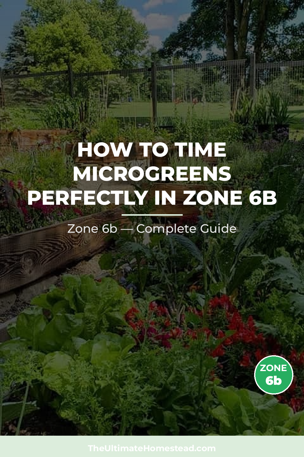 When to Plant Microgreens in Zone 6b