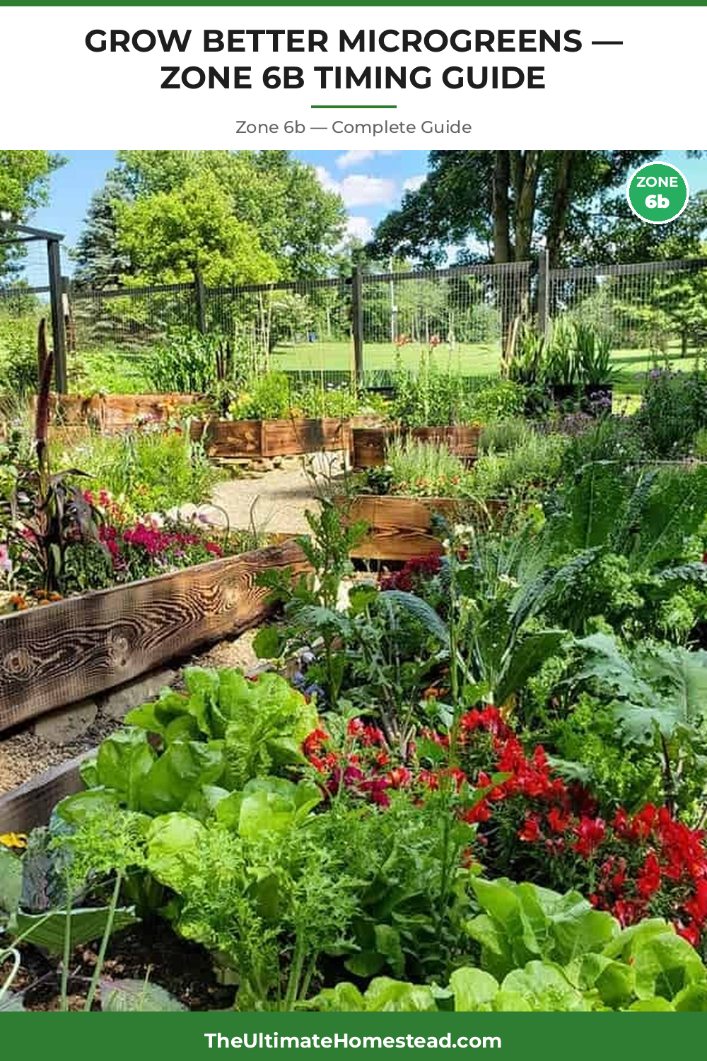 When to Plant Microgreens in Zone 6b