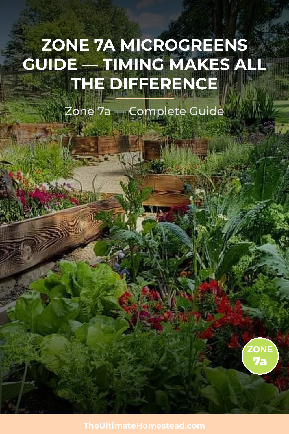 When to Plant Microgreens in Zone 7a