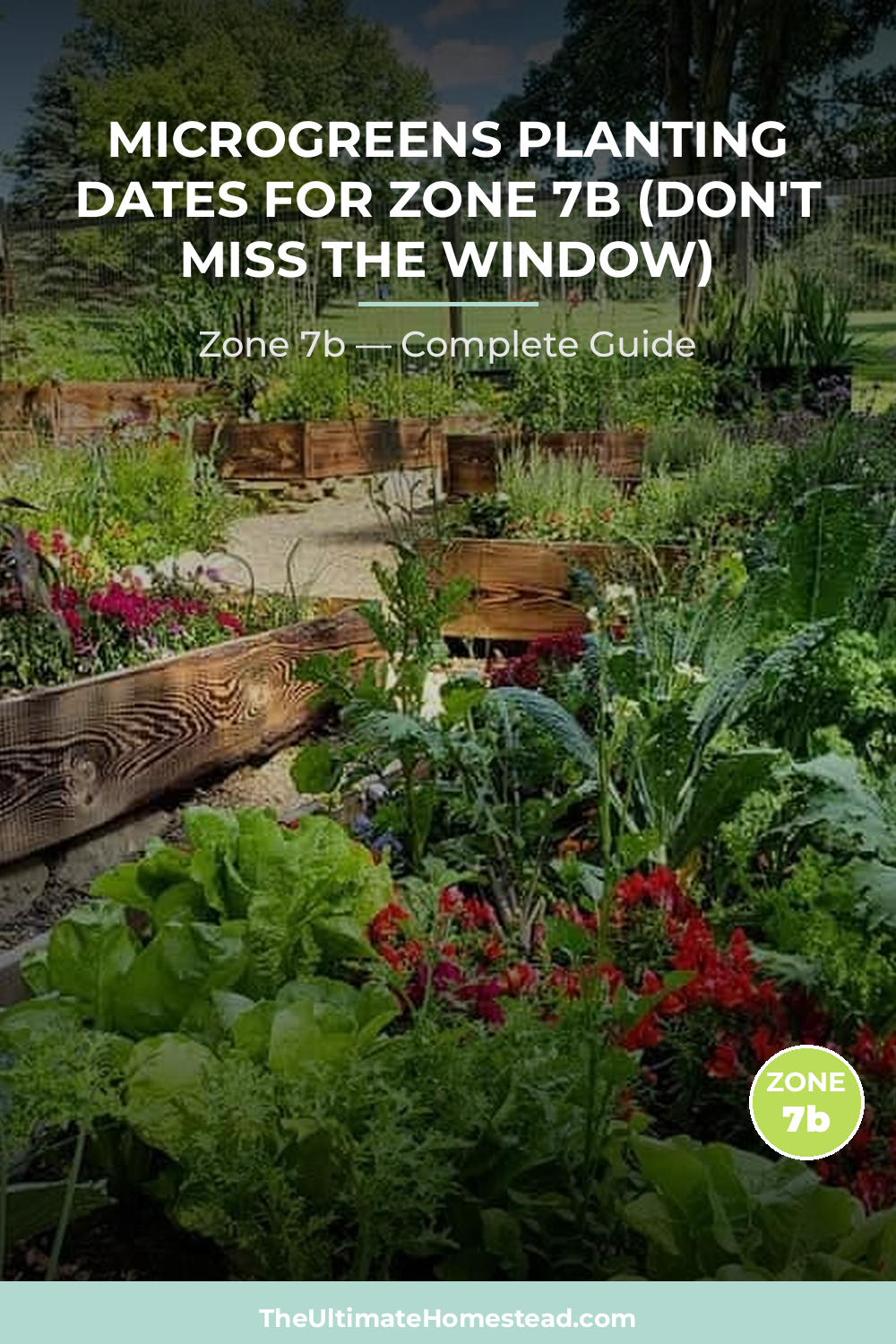 When to Plant Microgreens in Zone 7b