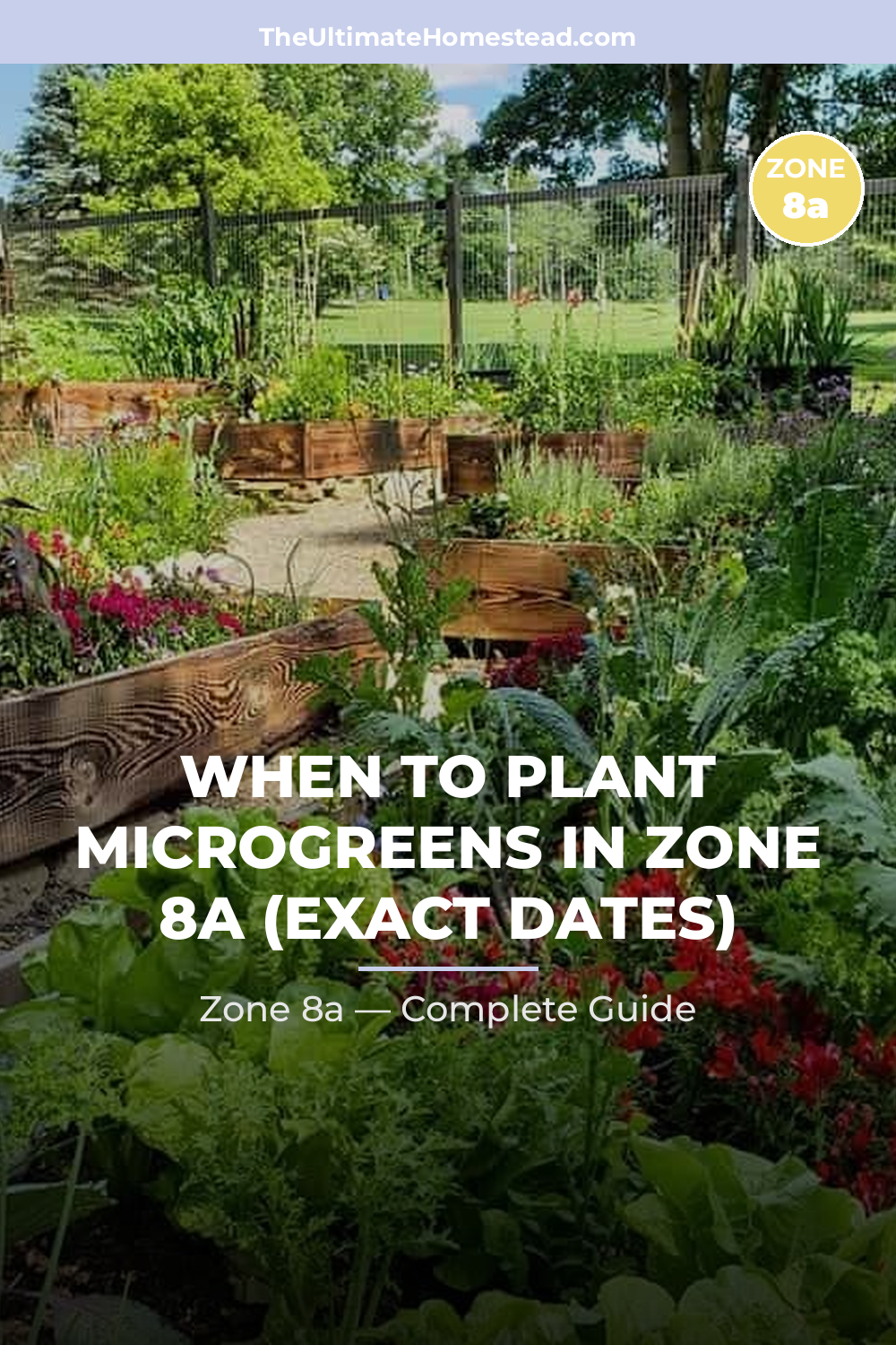 When to Plant Microgreens in Zone 8a