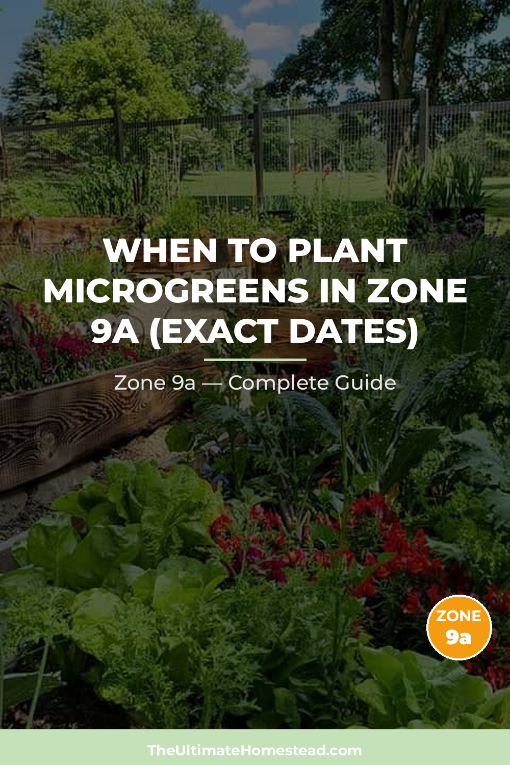 When to Plant Microgreens in Zone 9a