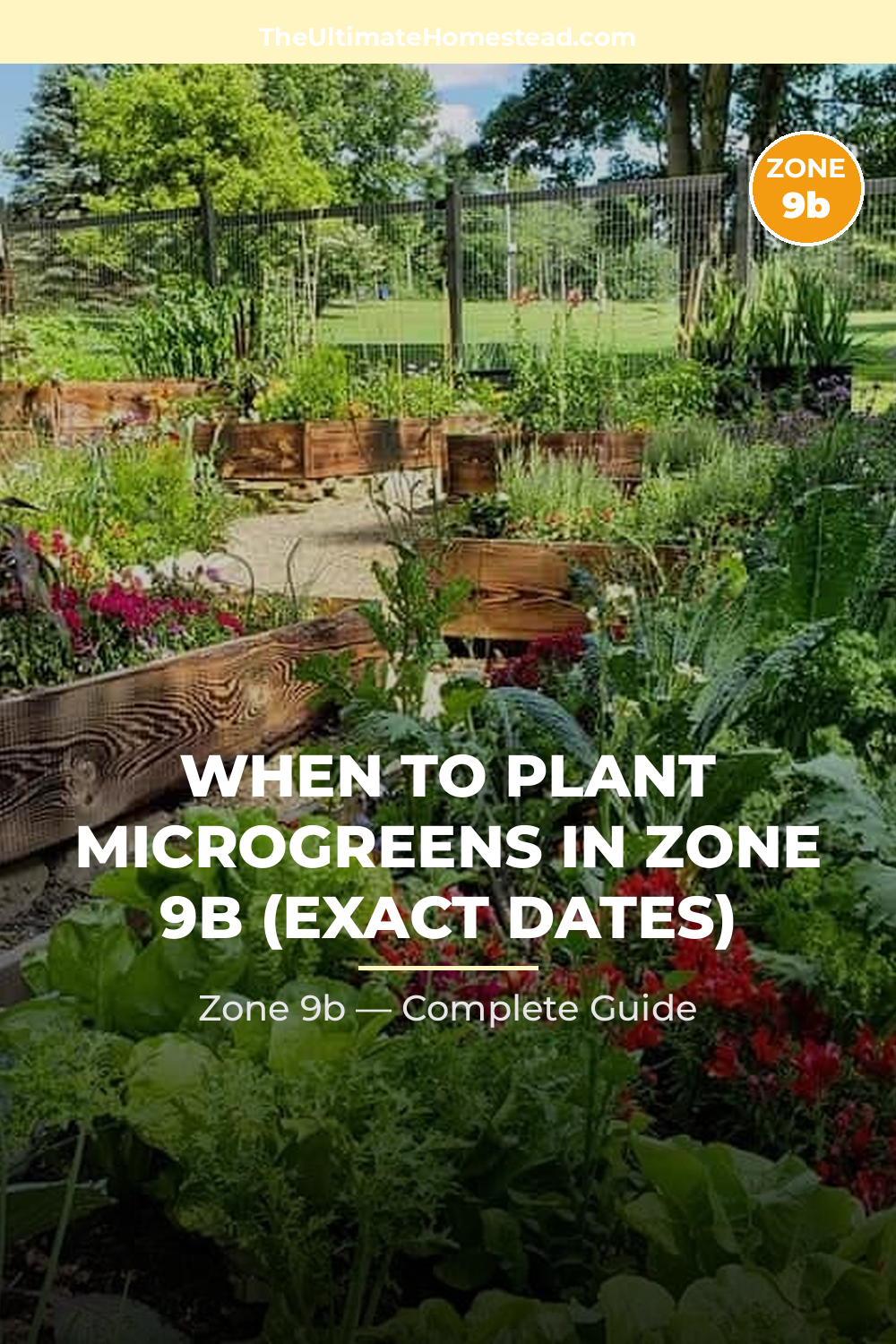 When to Plant Microgreens in Zone 9b