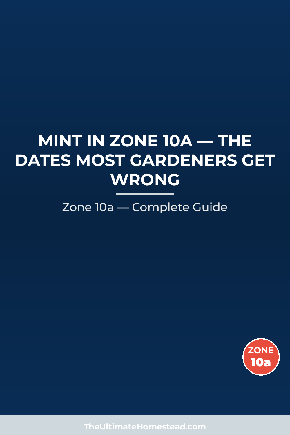When to Plant Mint in Zone 10a
