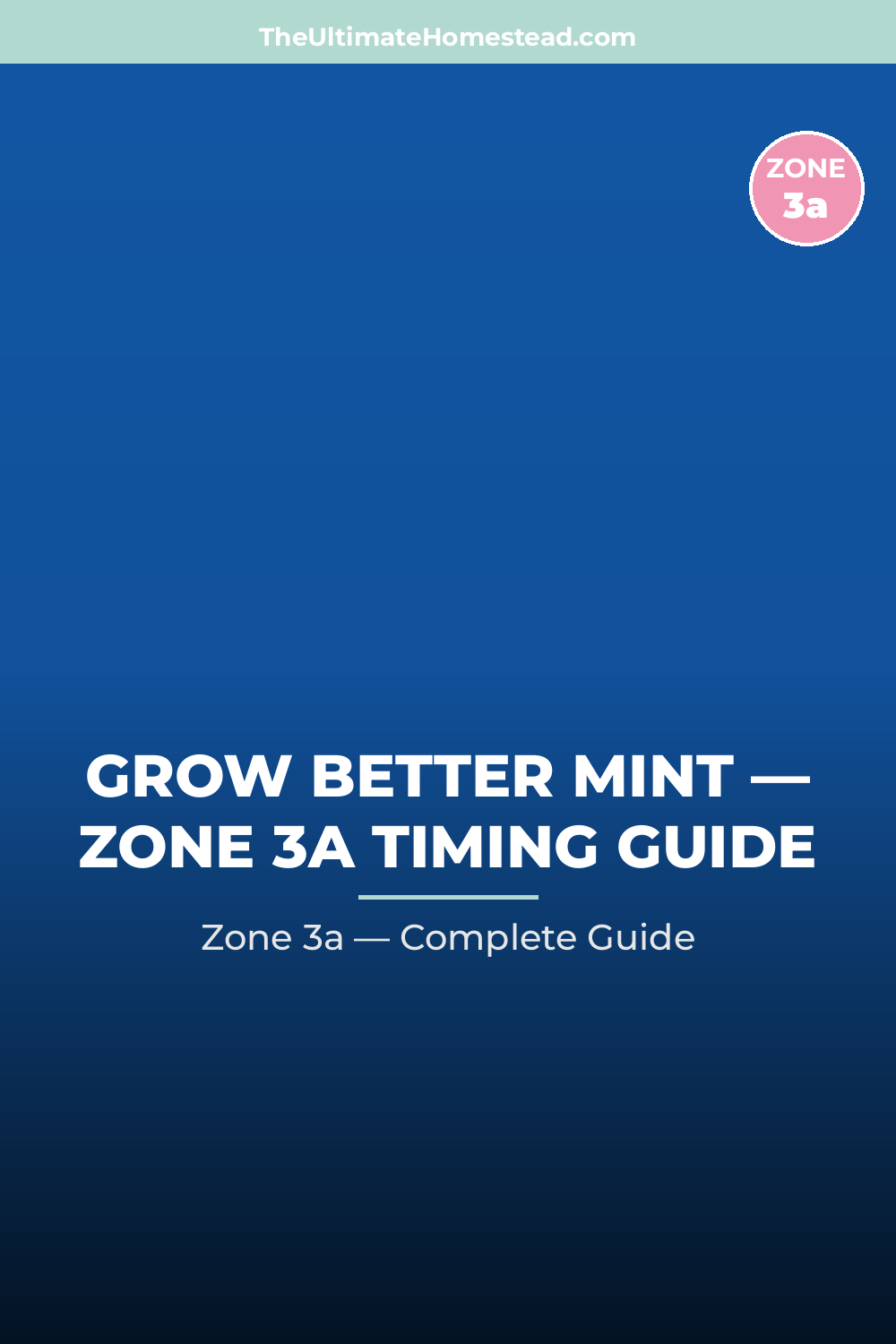When to Plant Mint in Zone 3a