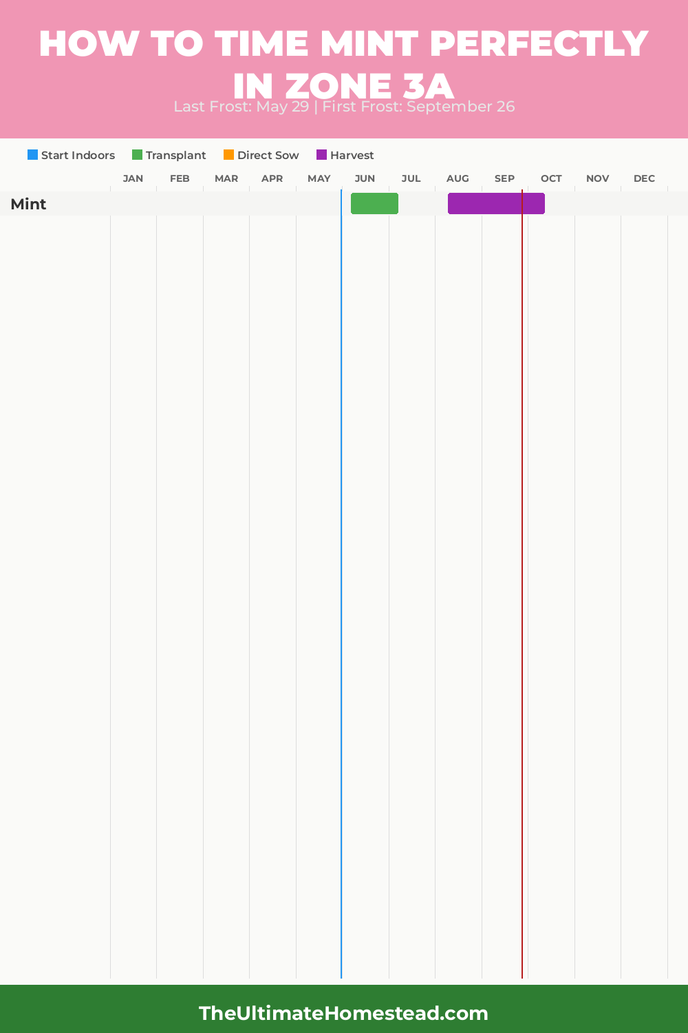 When to Plant Mint in Zone 3a
