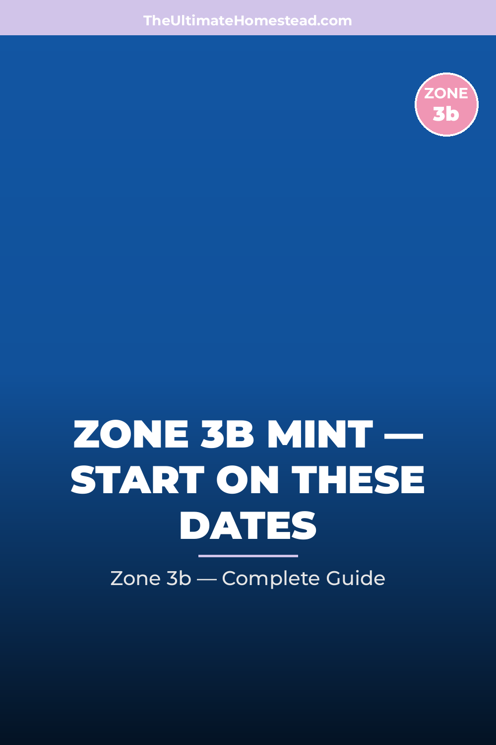 When to Plant Mint in Zone 3b