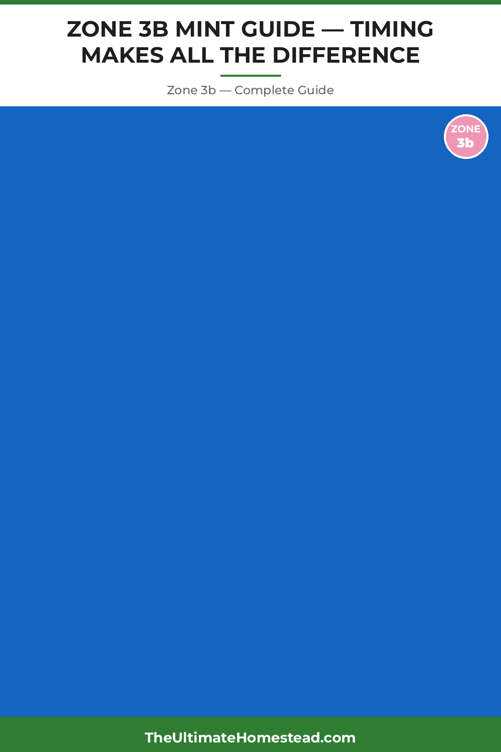 When to Plant Mint in Zone 3b