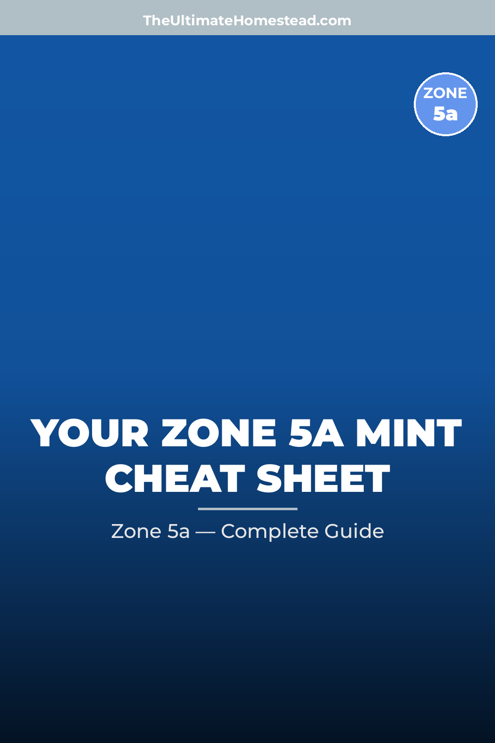 When to Plant Mint in Zone 5a