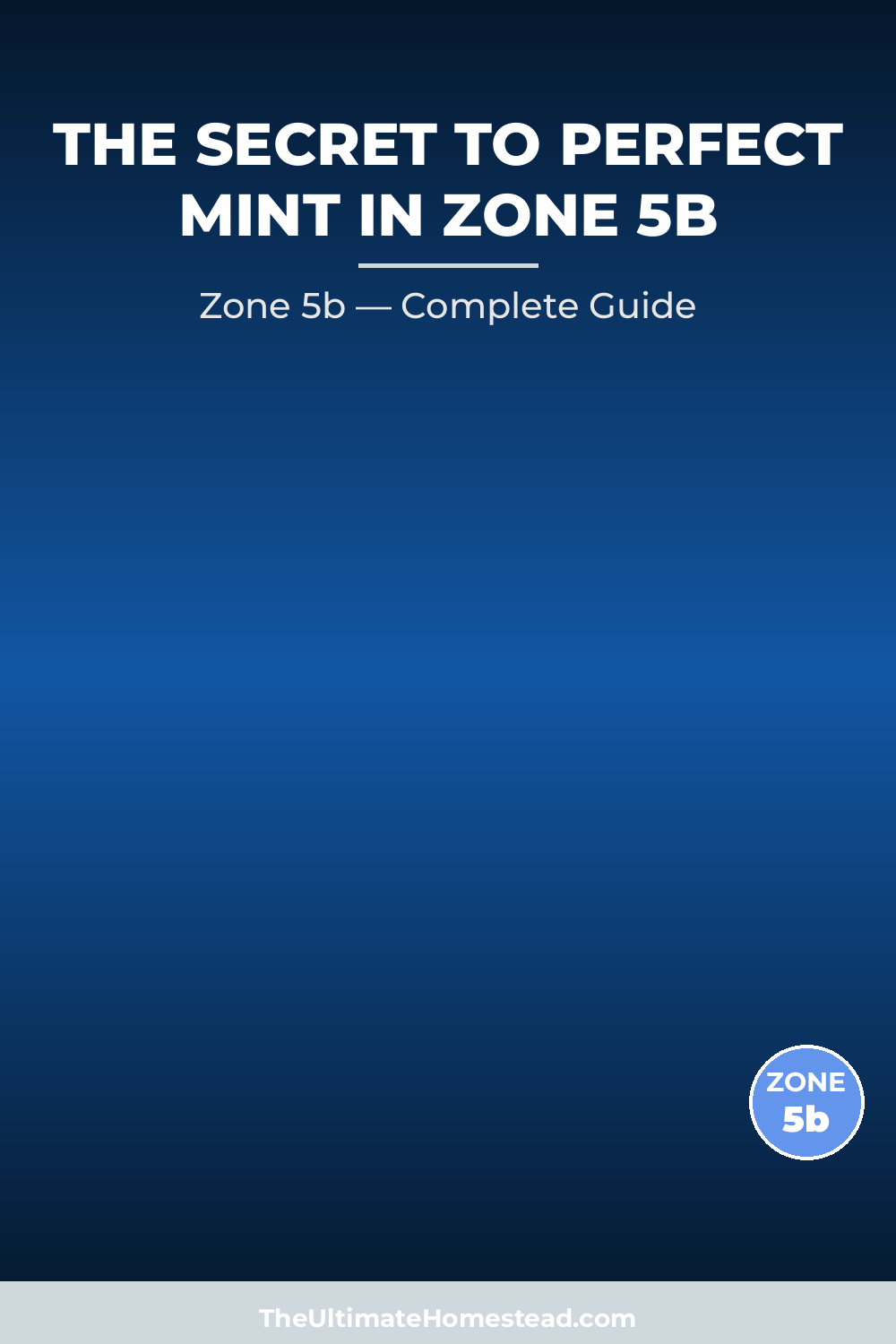 When to Plant Mint in Zone 5b