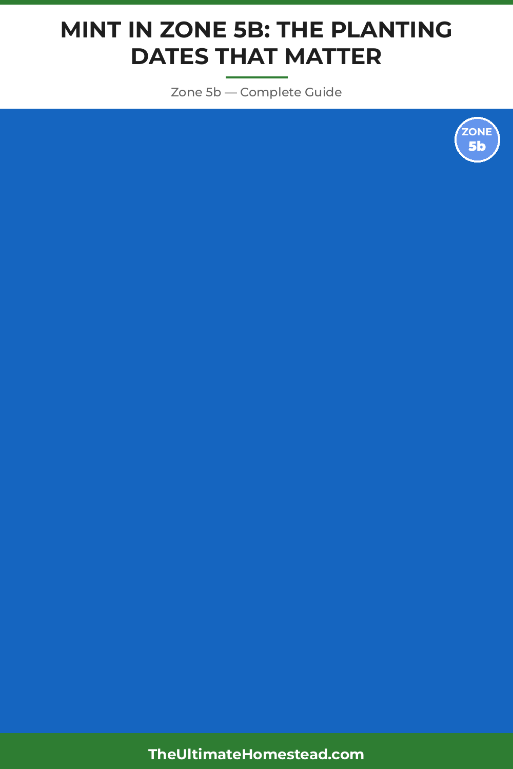 When to Plant Mint in Zone 5b