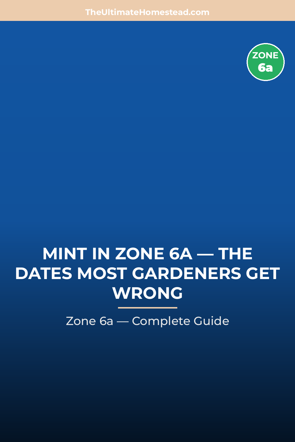 When to Plant Mint in Zone 6a