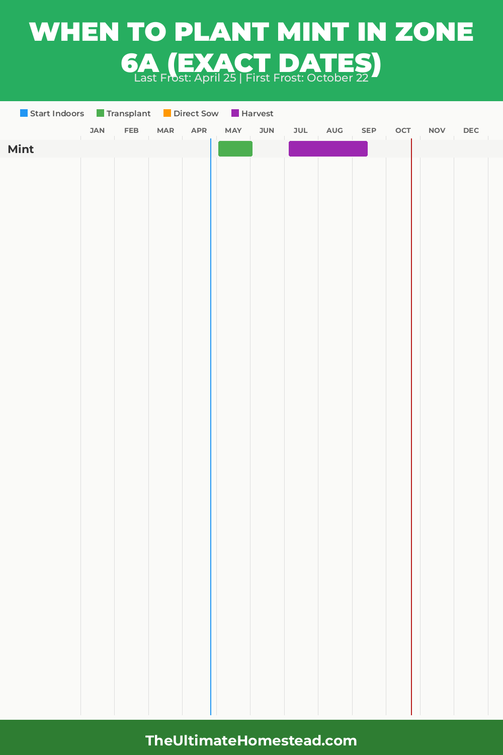 When to Plant Mint in Zone 6a