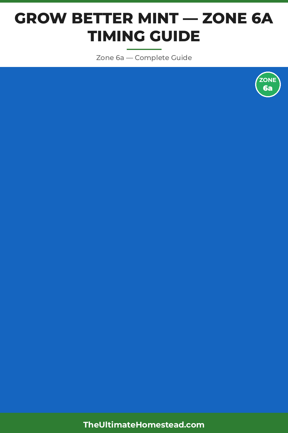 When to Plant Mint in Zone 6a