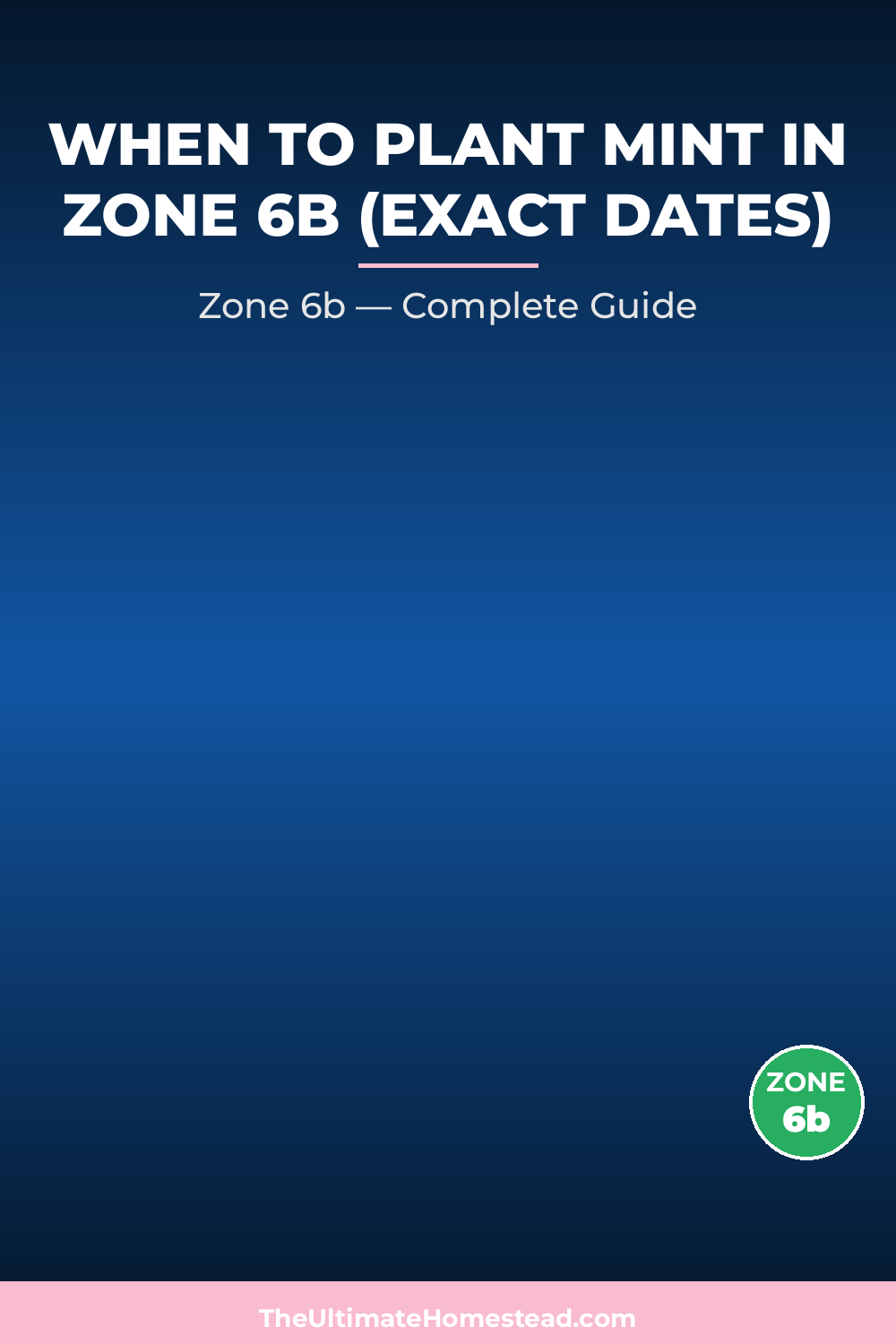 When to Plant Mint in Zone 6b