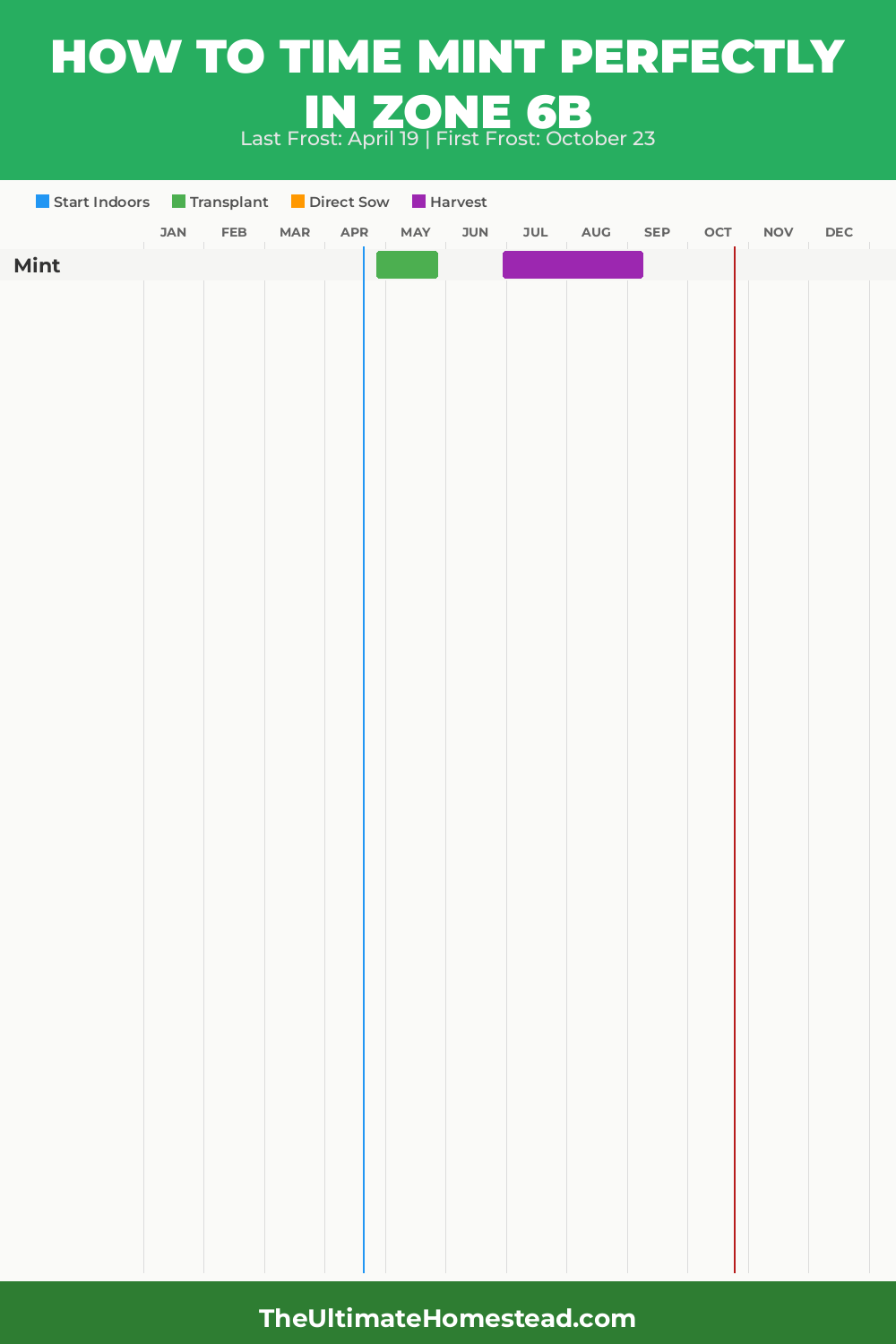 When to Plant Mint in Zone 6b
