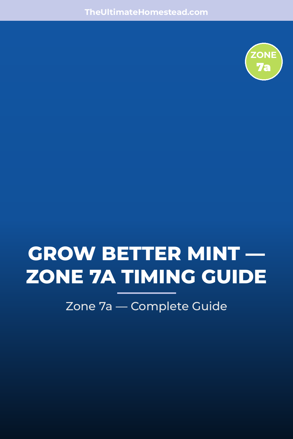 When to Plant Mint in Zone 7a