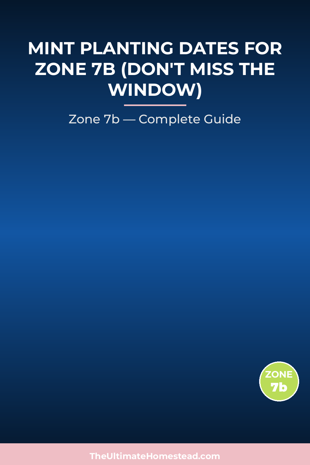 When to Plant Mint in Zone 7b