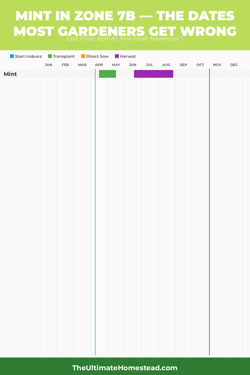 When to Plant Mint in Zone 7b