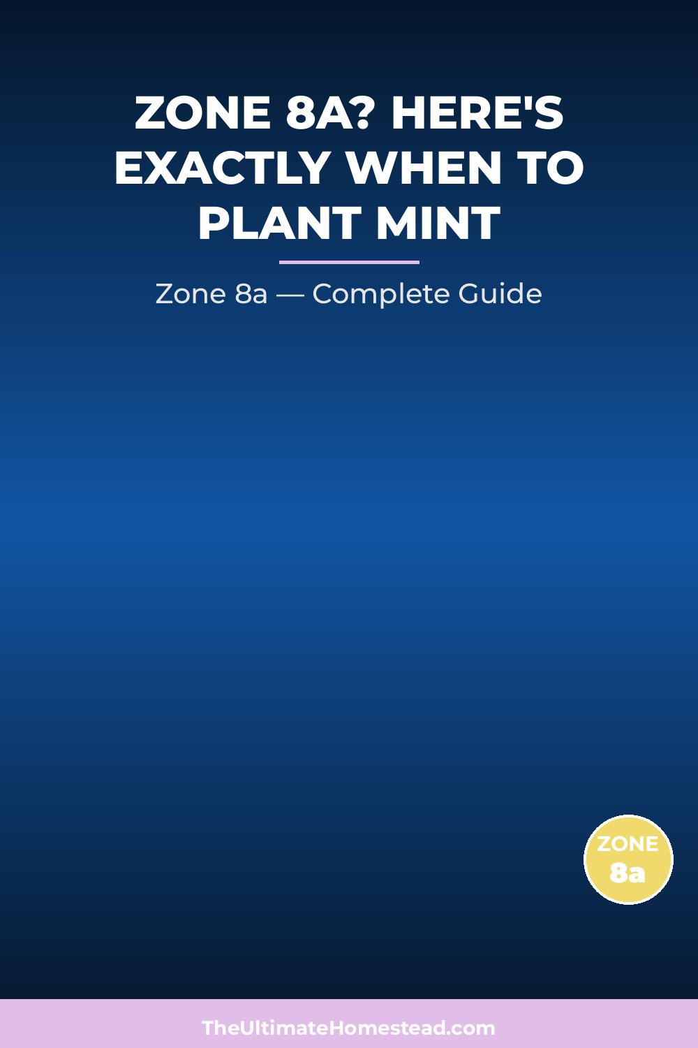 When to Plant Mint in Zone 8a