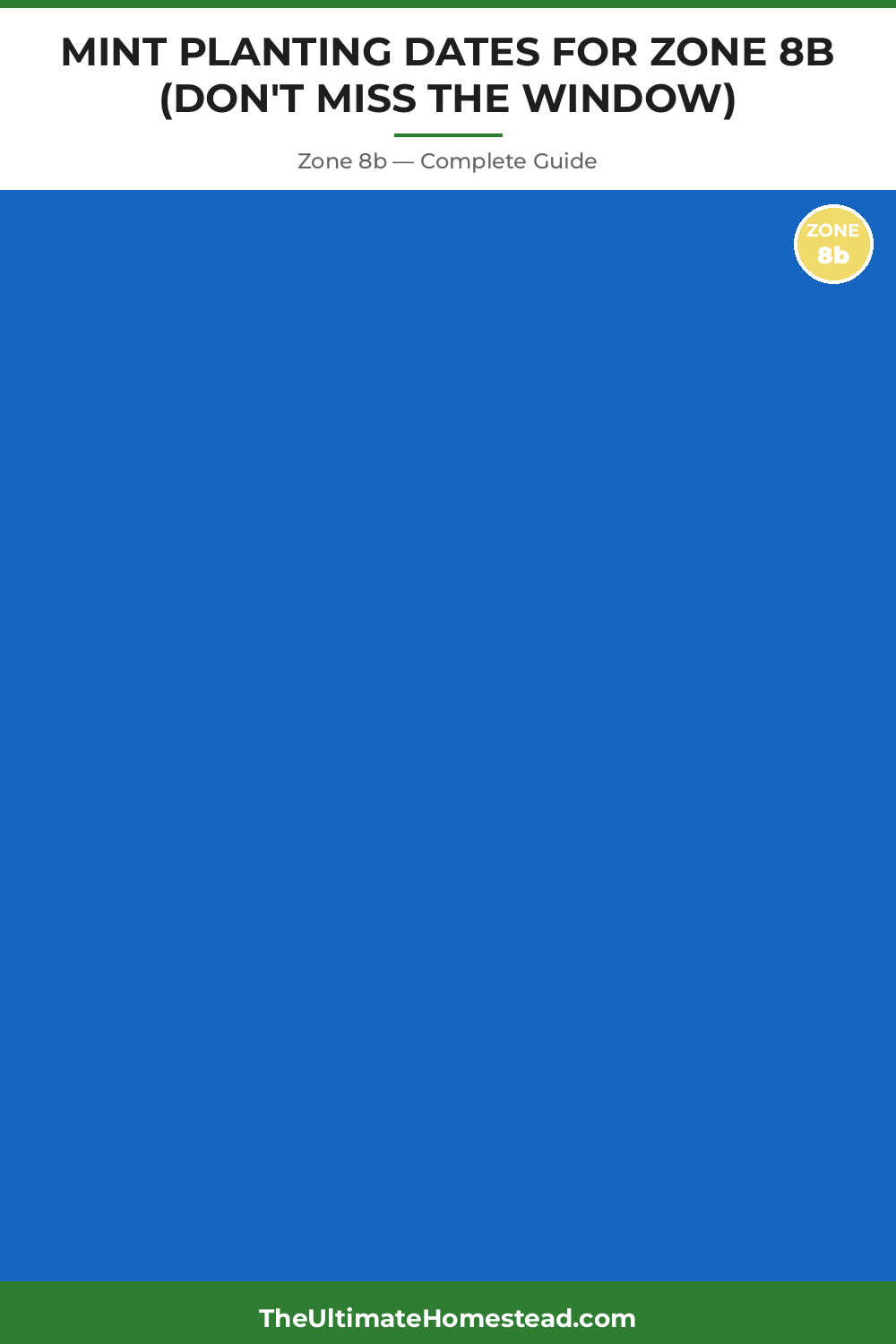 When to Plant Mint in Zone 8b