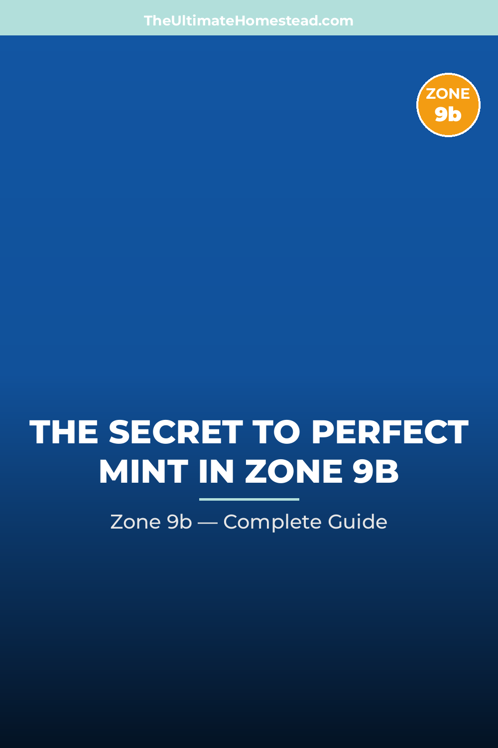 When to Plant Mint in Zone 9b