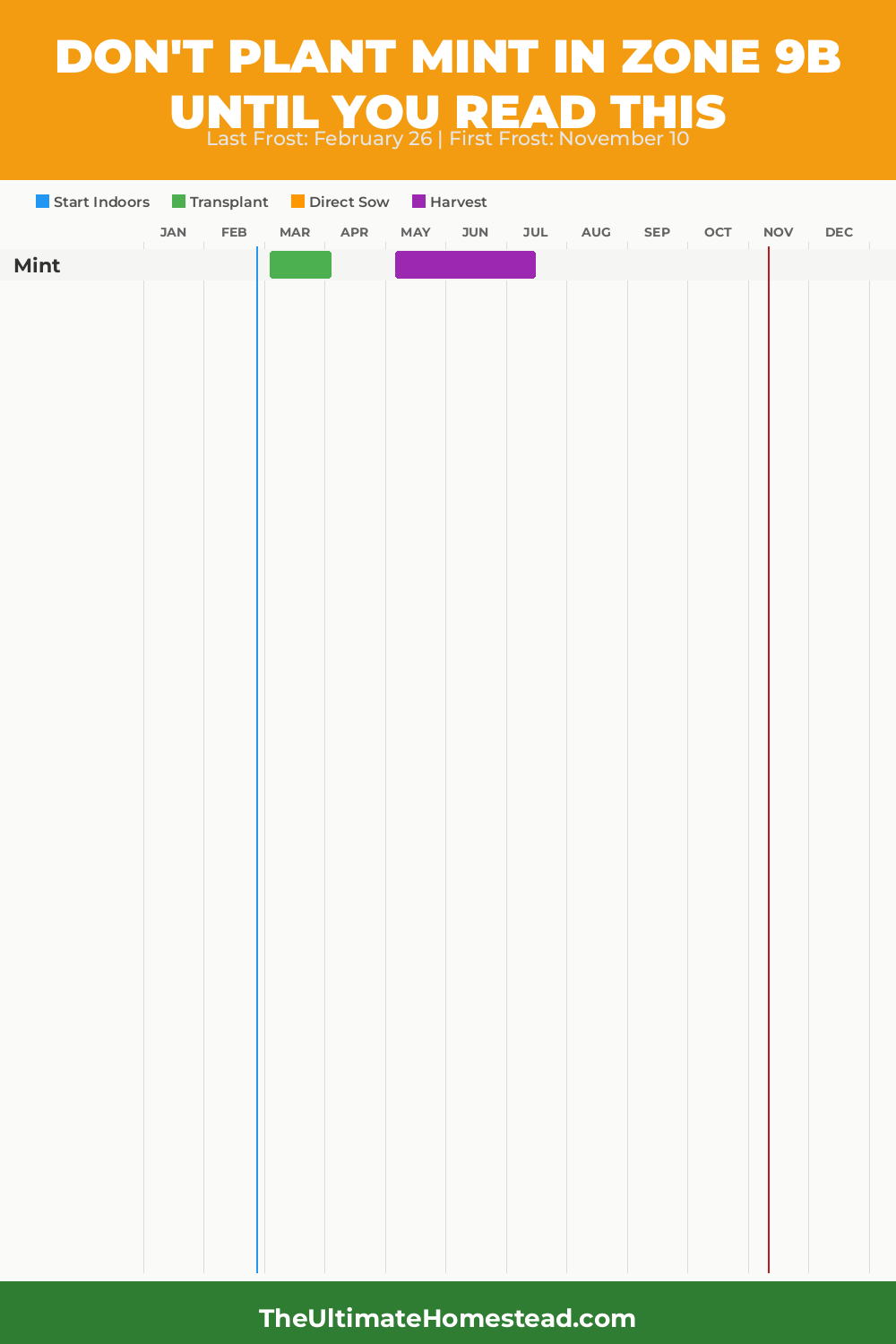 When to Plant Mint in Zone 9b