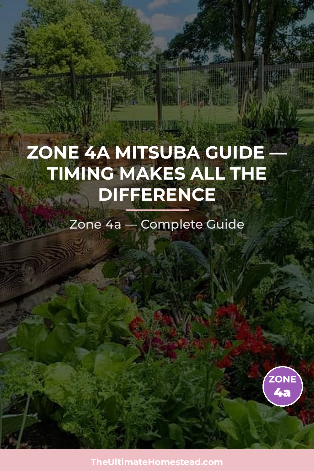 When to Plant Mitsuba in Zone 4a