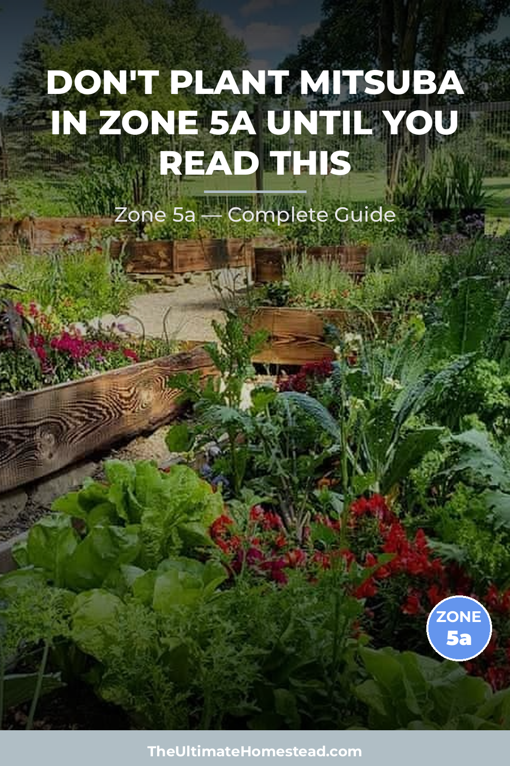 When to Plant Mitsuba in Zone 5a