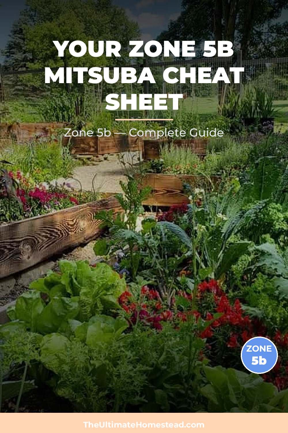 When to Plant Mitsuba in Zone 5b