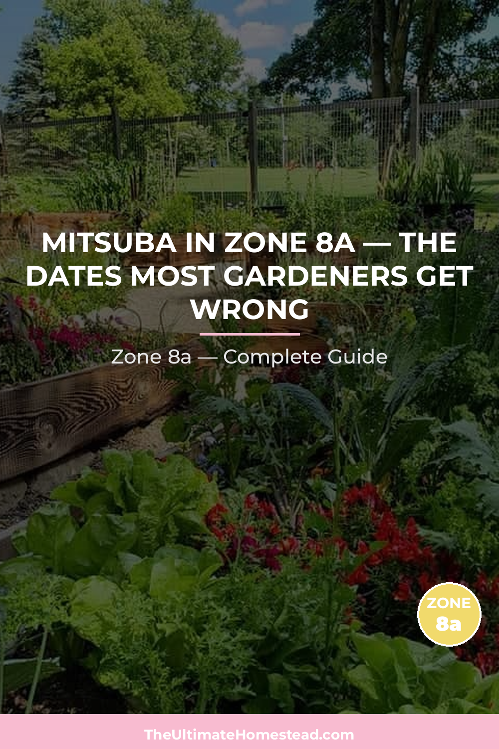 When to Plant Mitsuba in Zone 8a