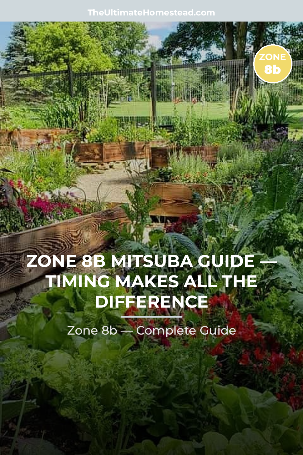 When to Plant Mitsuba in Zone 8b