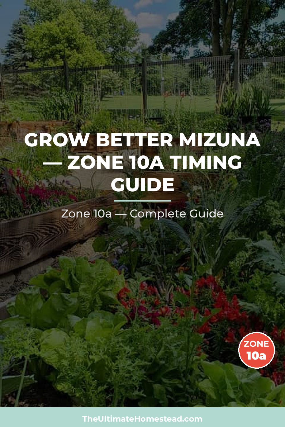 When to Plant Mizuna in Zone 10a