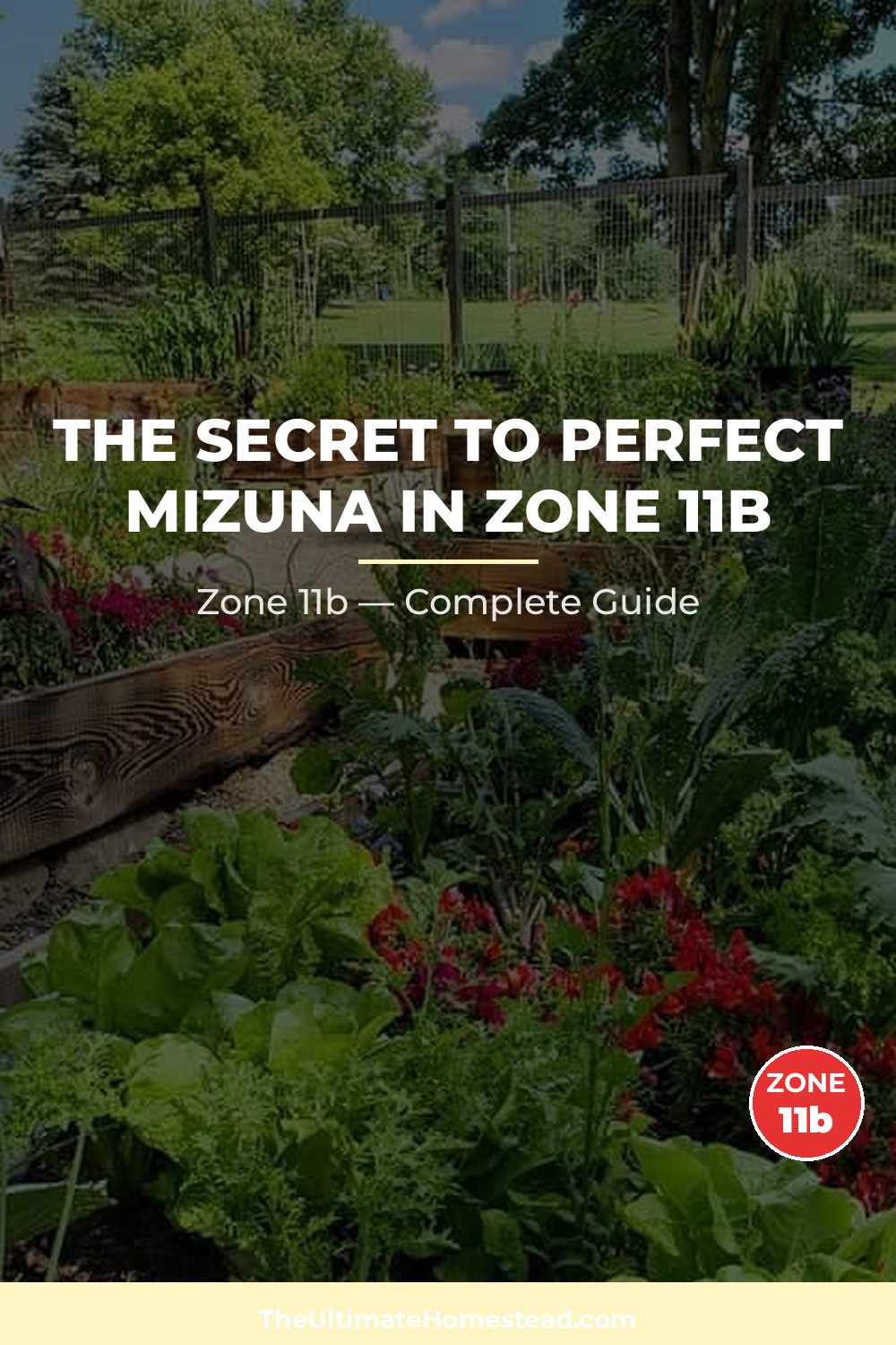 When to Plant Mizuna in Zone 11b
