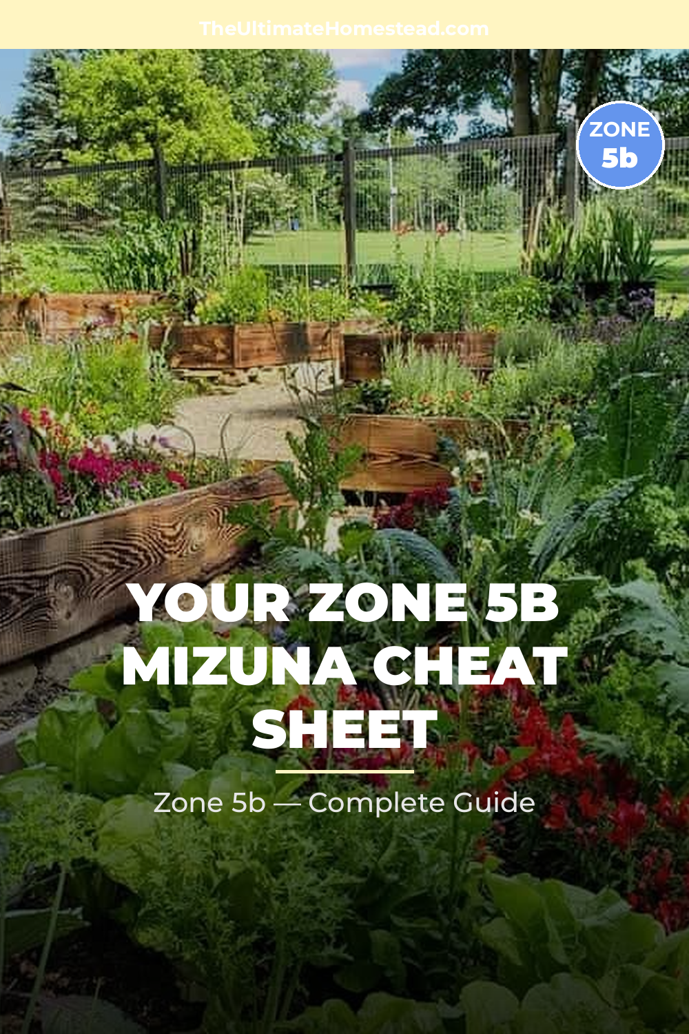 When to Plant Mizuna in Zone 5b