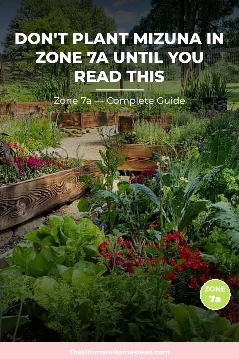 When to Plant Mizuna in Zone 7a