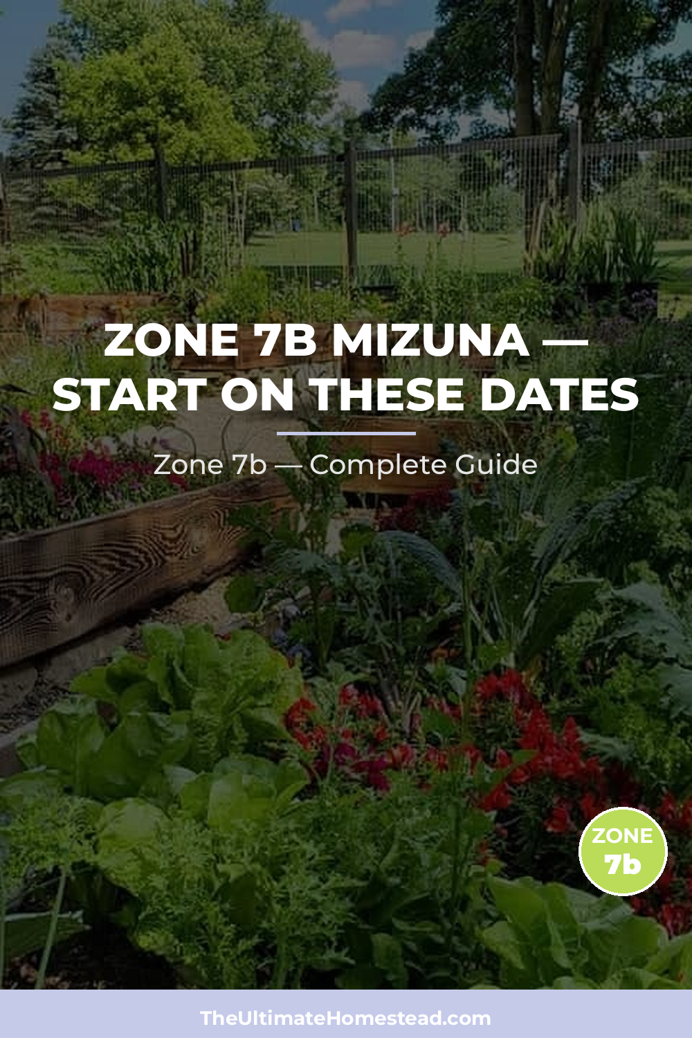 When to Plant Mizuna in Zone 7b