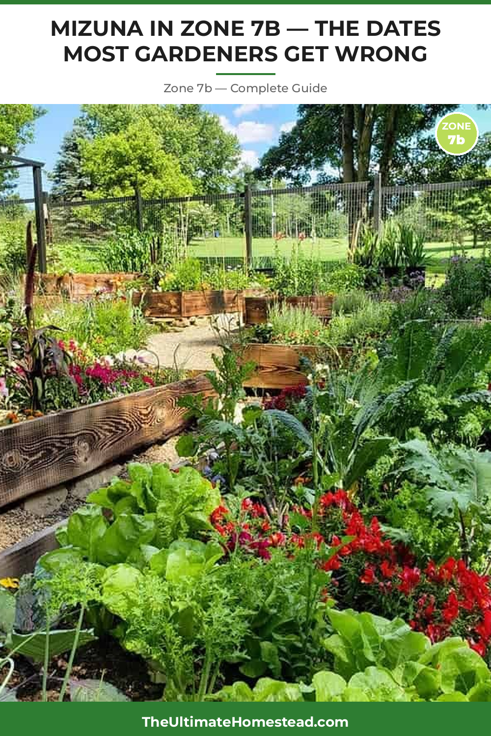 When to Plant Mizuna in Zone 7b