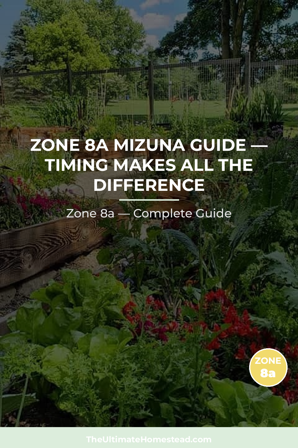 When to Plant Mizuna in Zone 8a