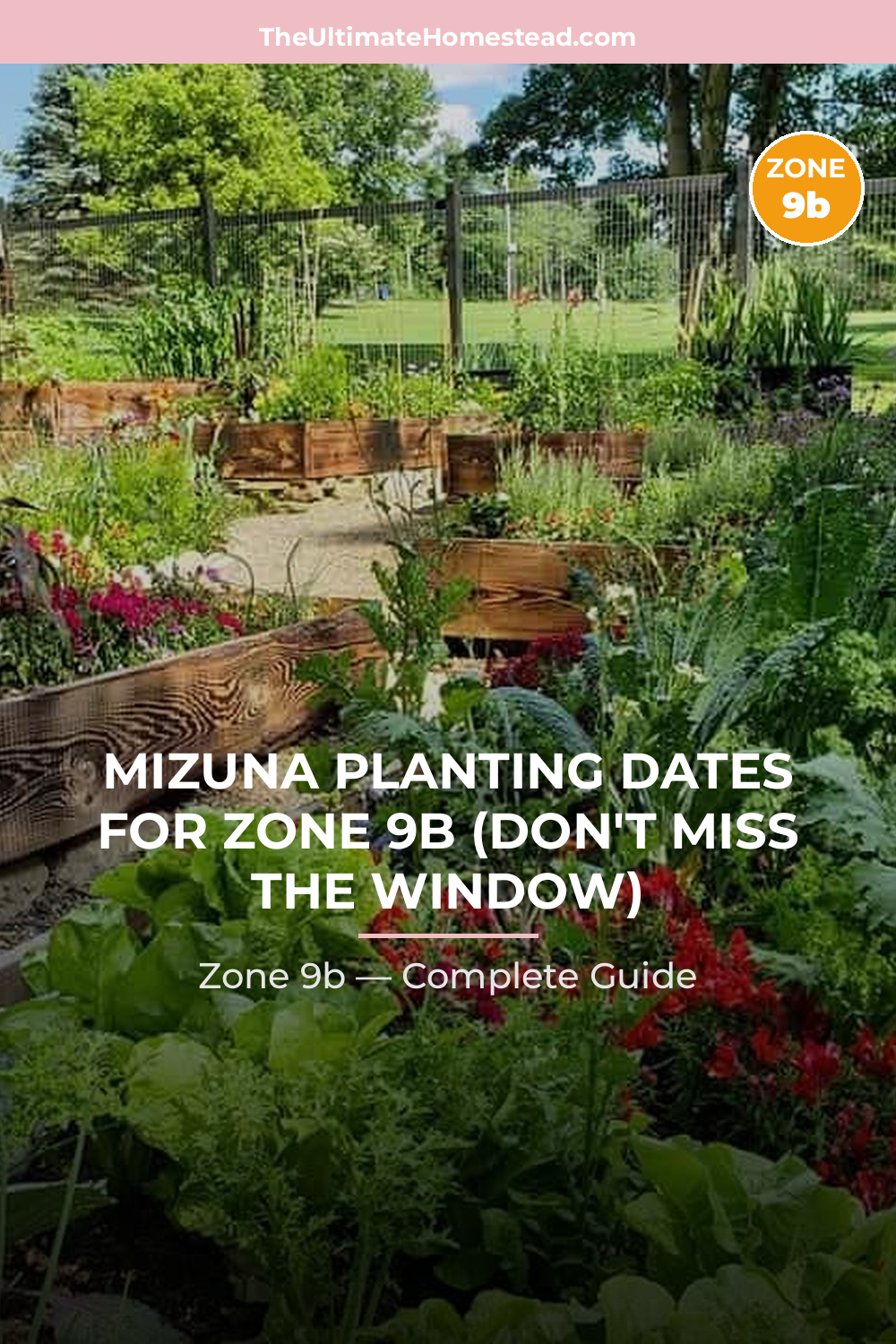 When to Plant Mizuna in Zone 9b