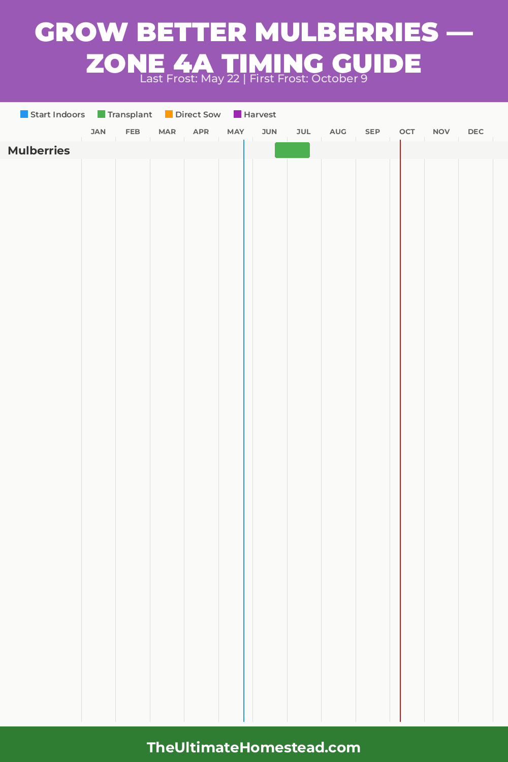 When to Plant Mulberries in Zone 4a