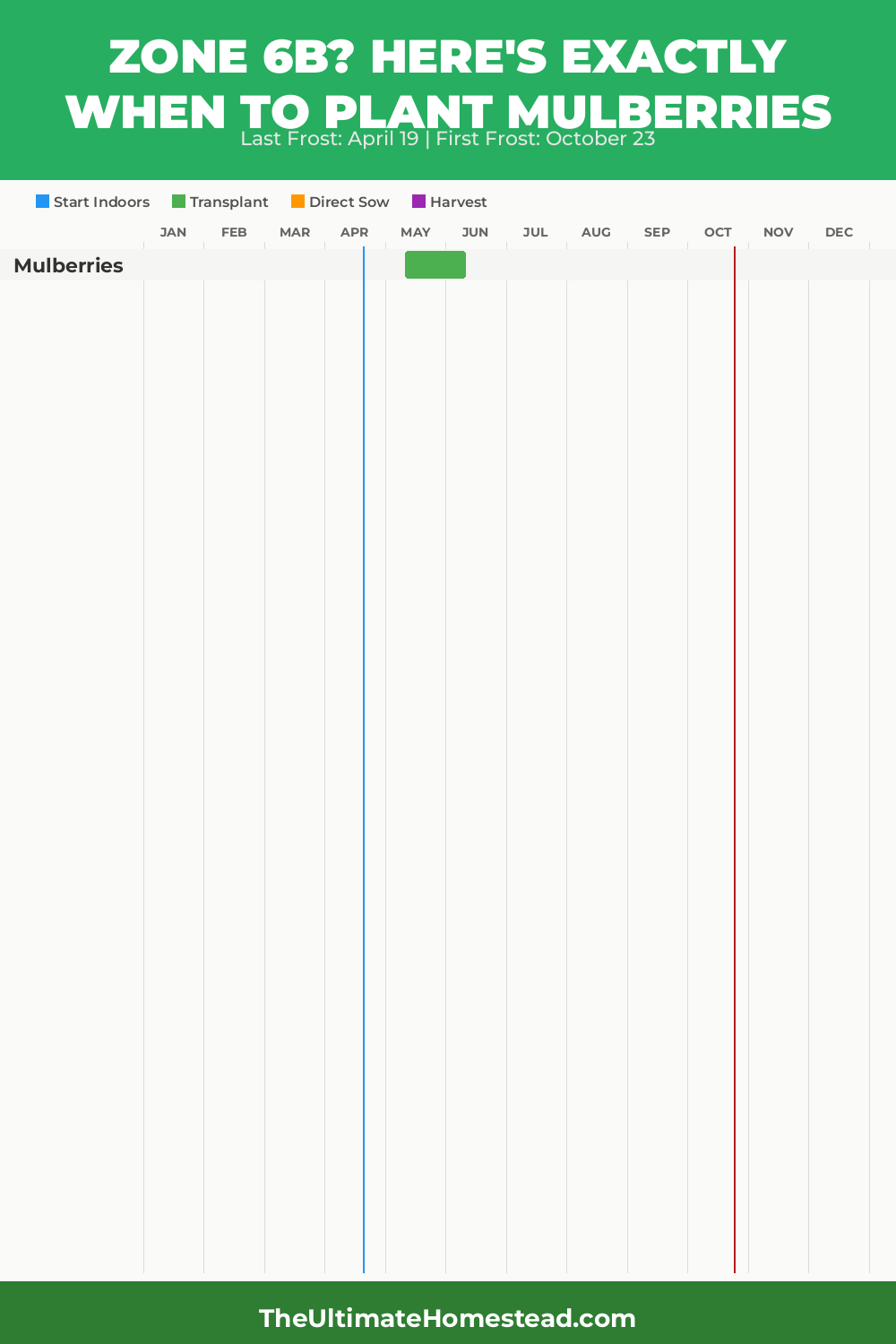When to Plant Mulberries in Zone 6b