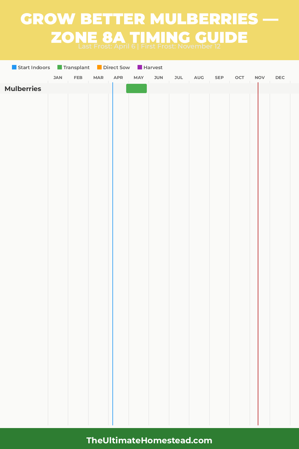 When to Plant Mulberries in Zone 8a