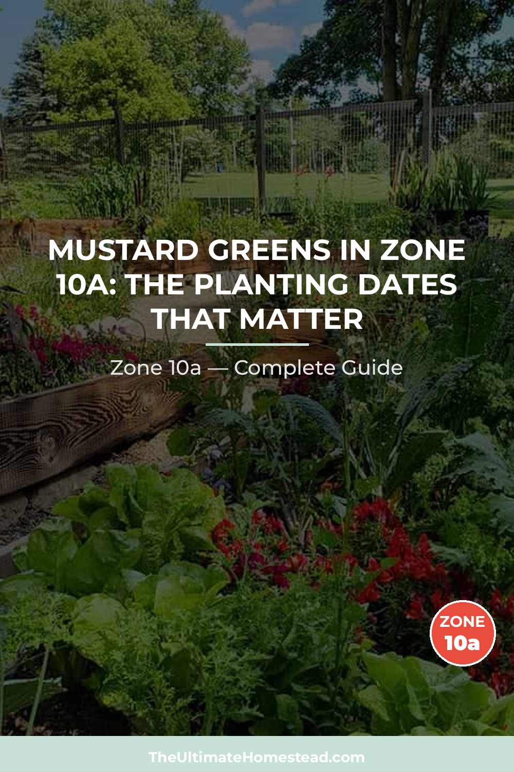 When to Plant Mustard Greens in Zone 10a