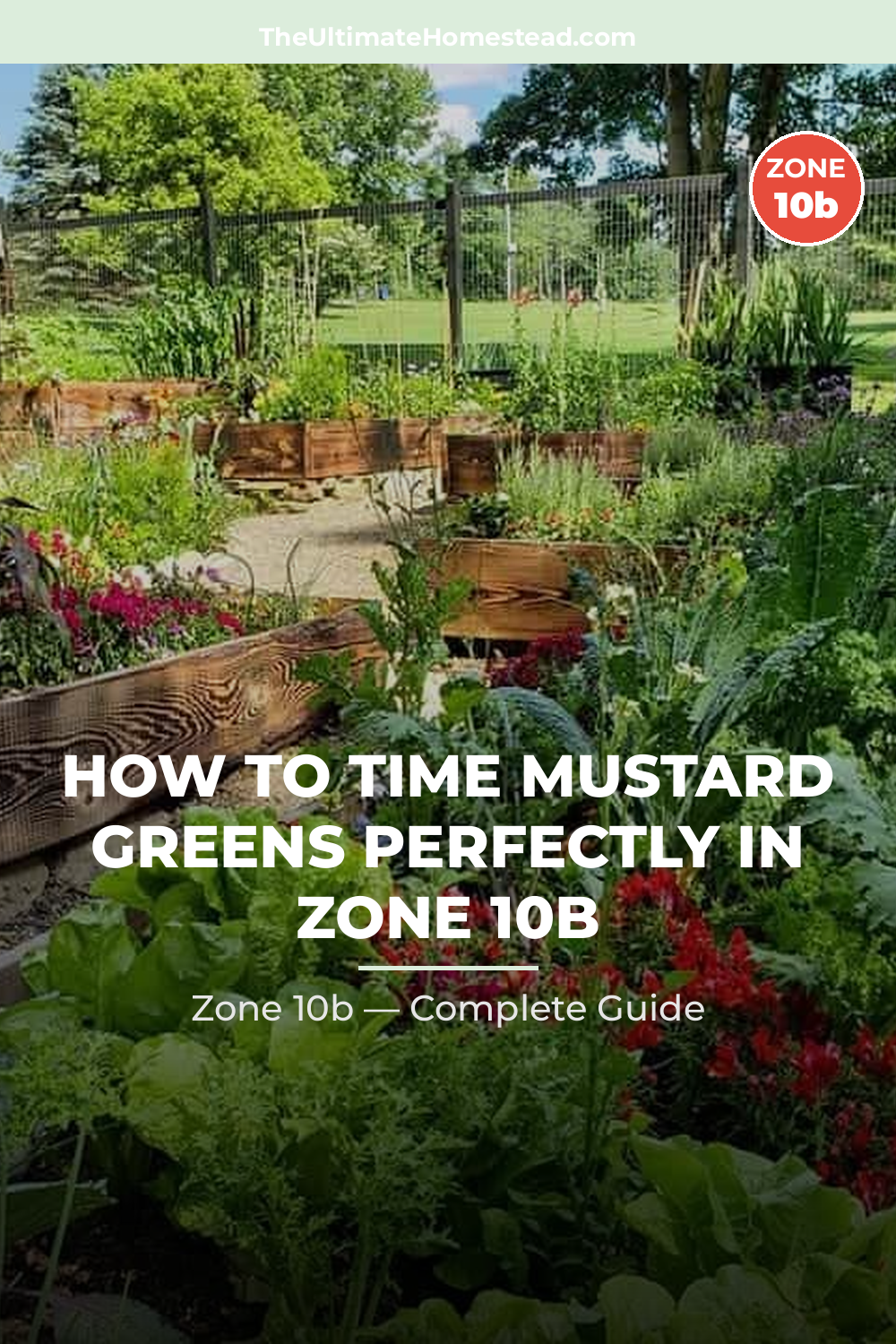 When to Plant Mustard Greens in Zone 10b