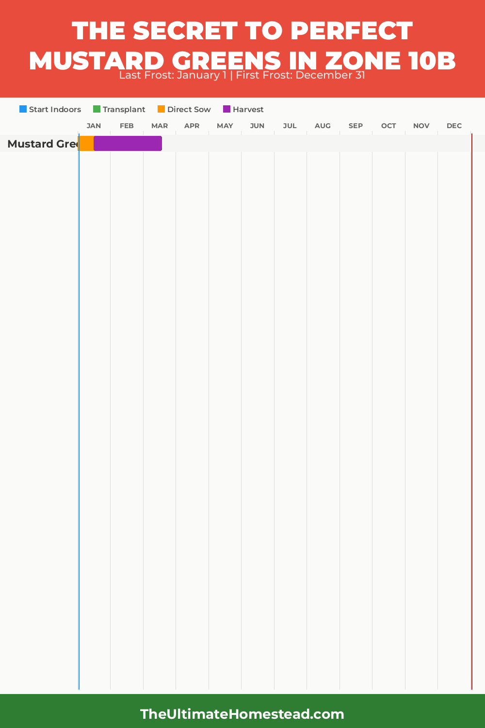 When to Plant Mustard Greens in Zone 10b