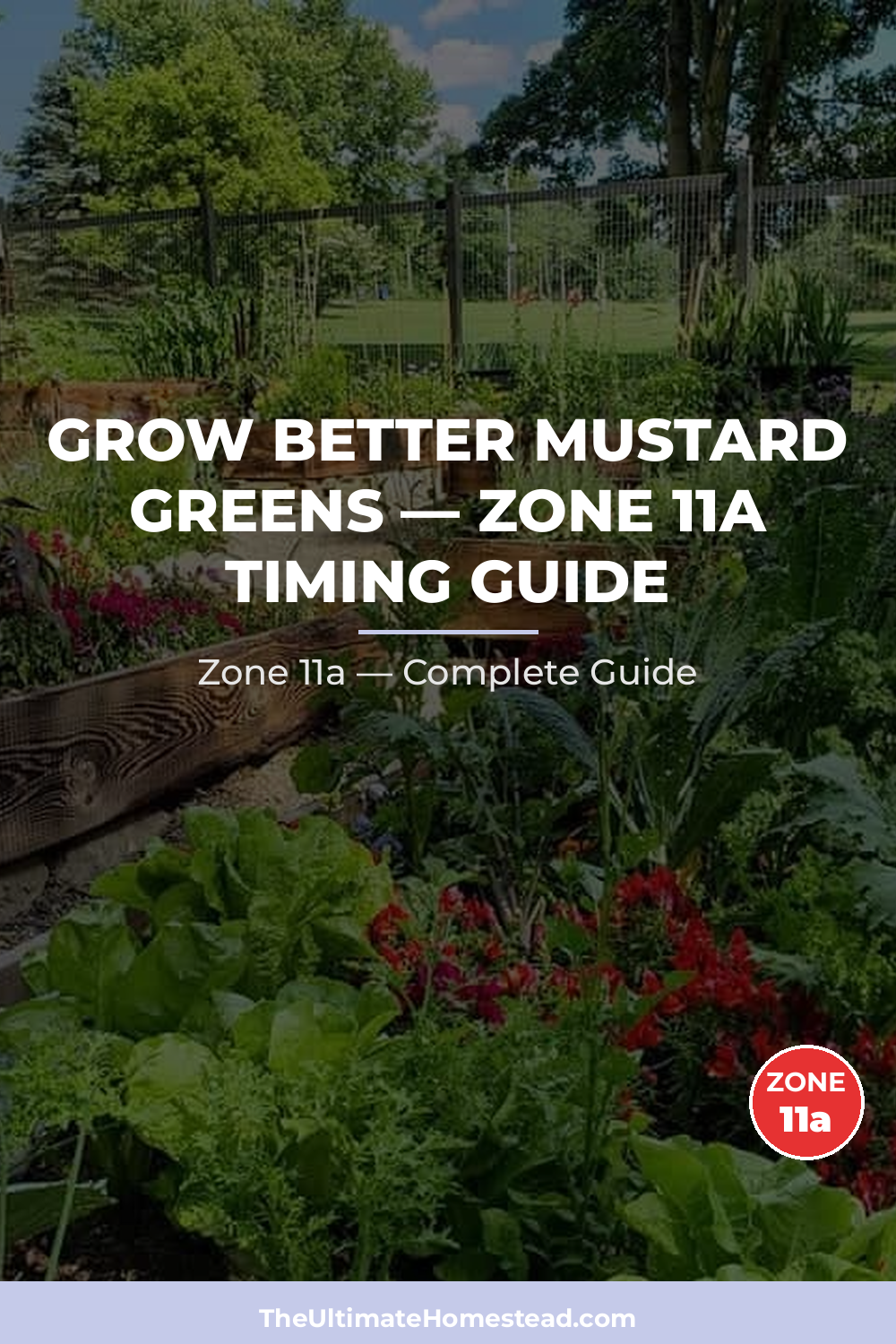 When to Plant Mustard Greens in Zone 11a