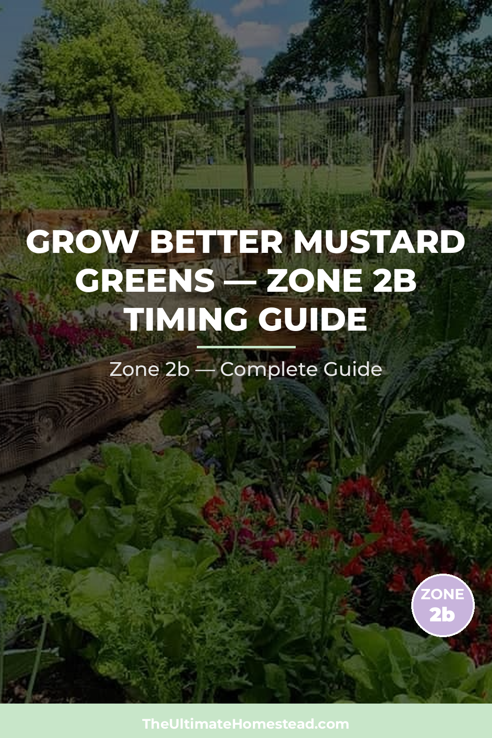 When to Plant Mustard Greens in Zone 2b