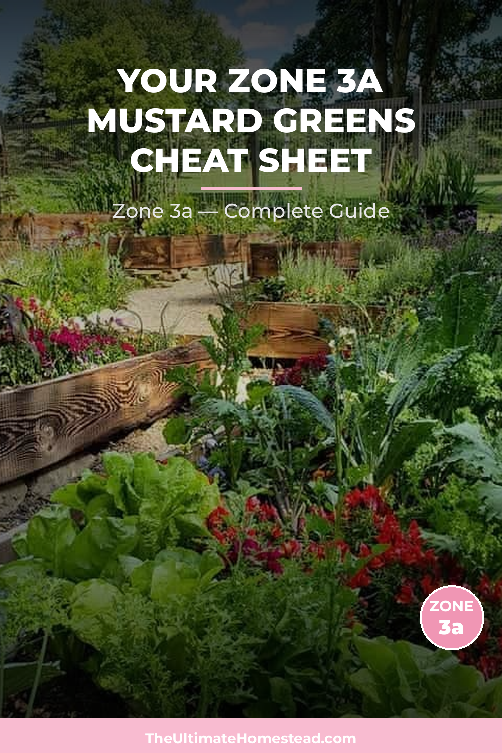 When to Plant Mustard Greens in Zone 3a